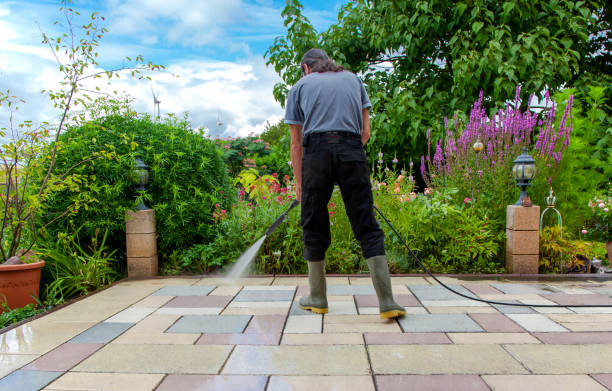 Best Animal Enclosure Cleaning  in Ardmore, OK